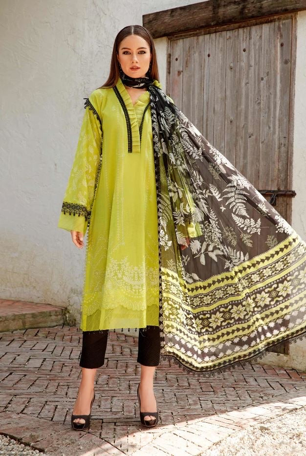 Co-ord suit with chiffon dupatta-basics 3236