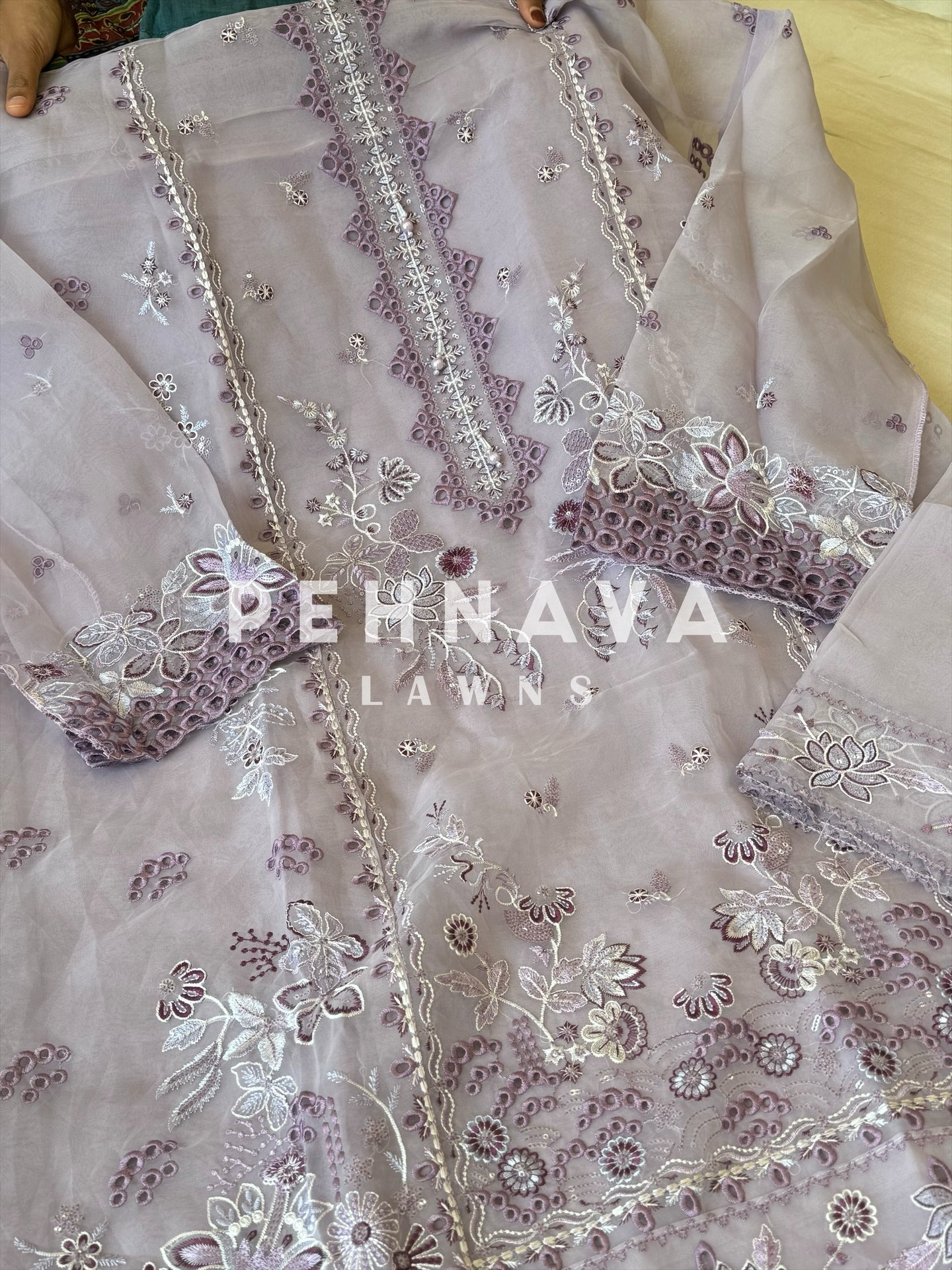 Organza embroidered suit-afroz