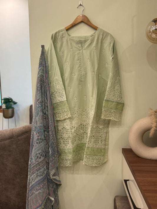 Pakistani embroidered suit with chiffon dupatta-1001(N)