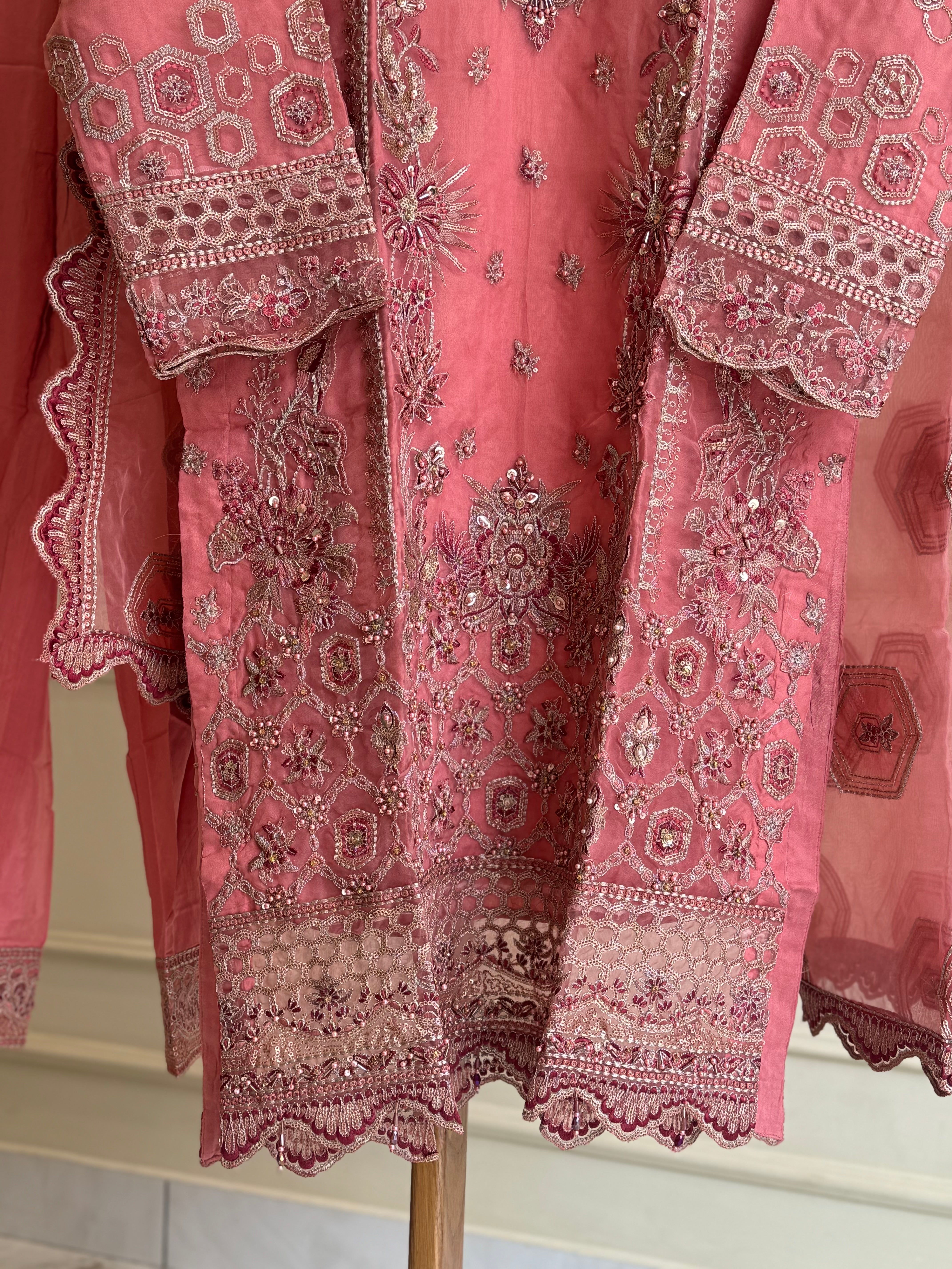 Pakistani pure organza pret wear -1