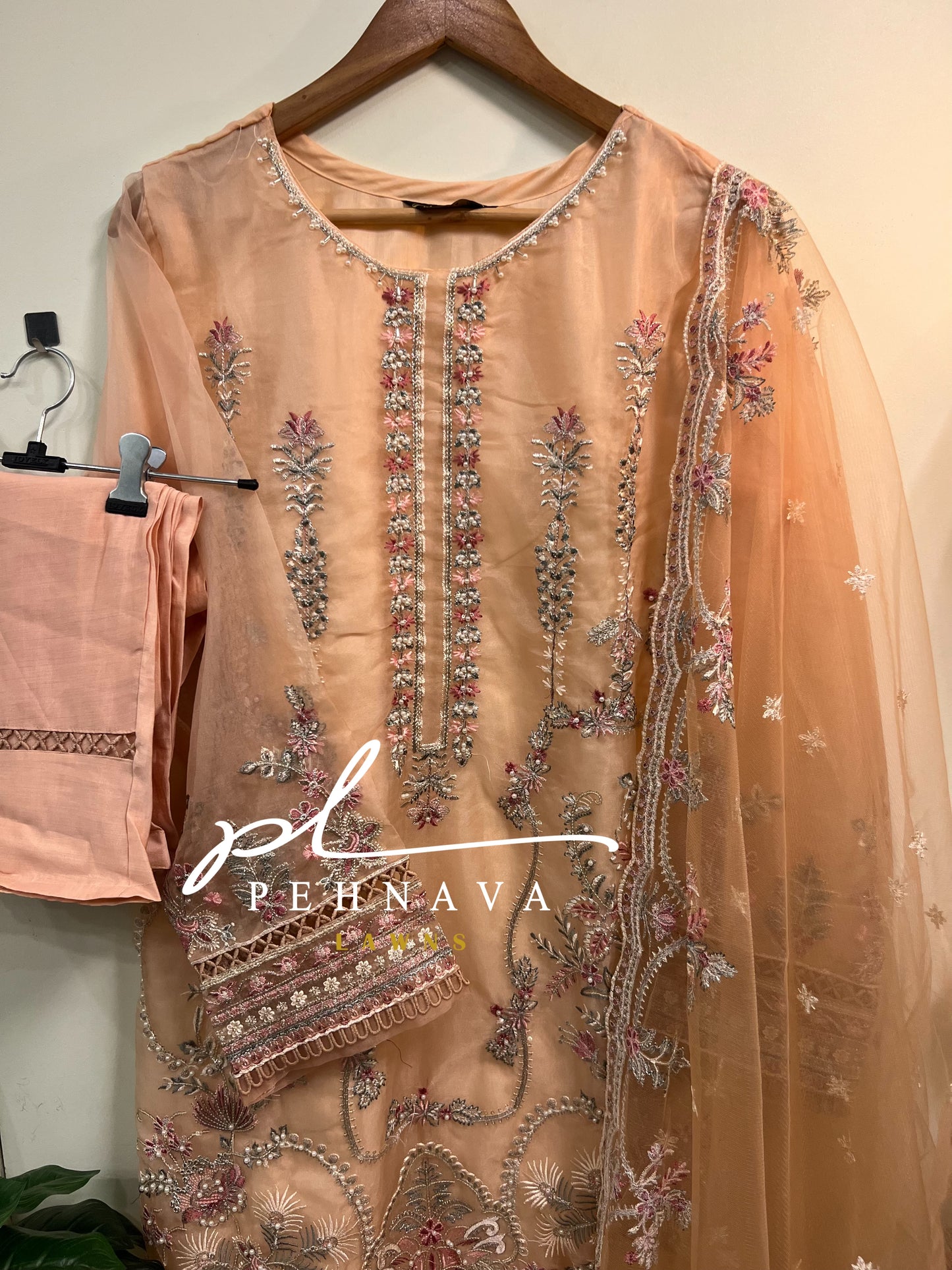 organza embroidered suit-nilofer