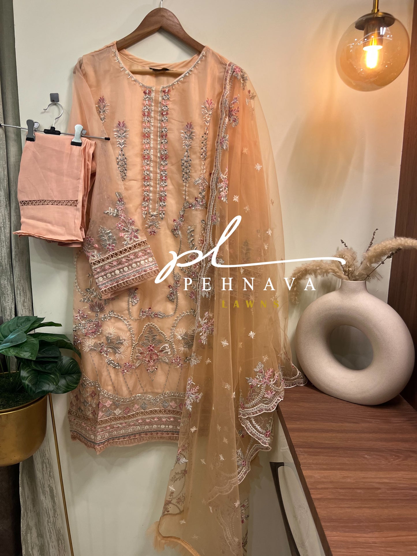 organza embroidered suit-nilofer