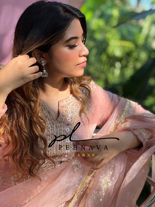 Organza mirror work suit - Pehnava Lawns