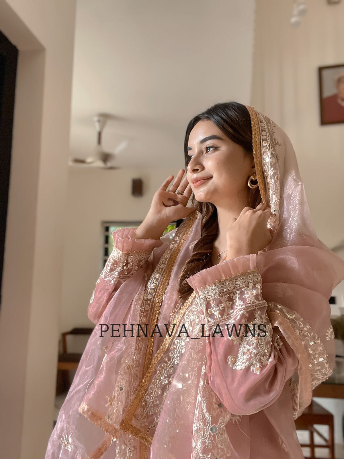 Organza mirror work suit - Pehnava Lawns