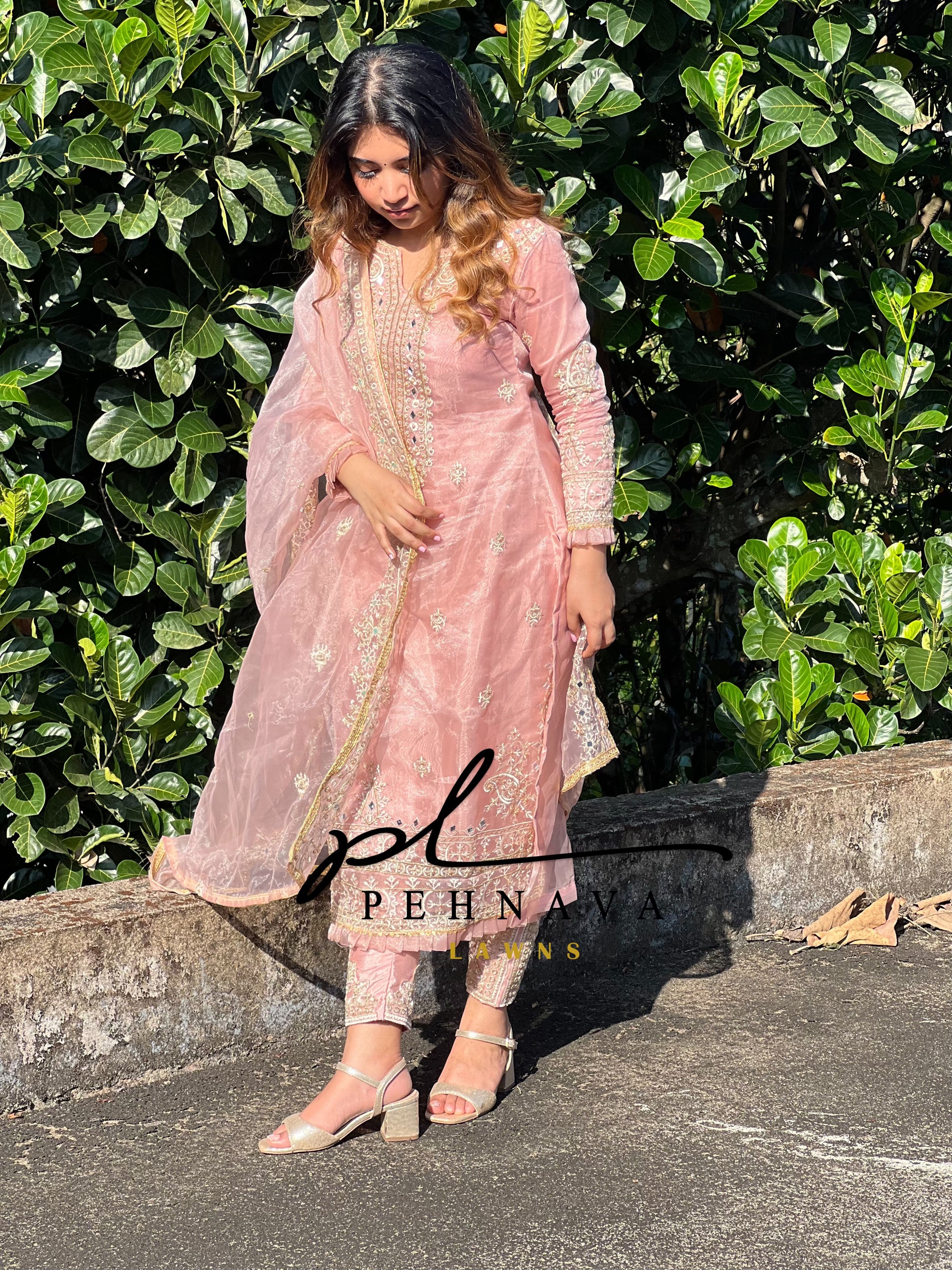 Organza mirror work suit - Pehnava Lawns